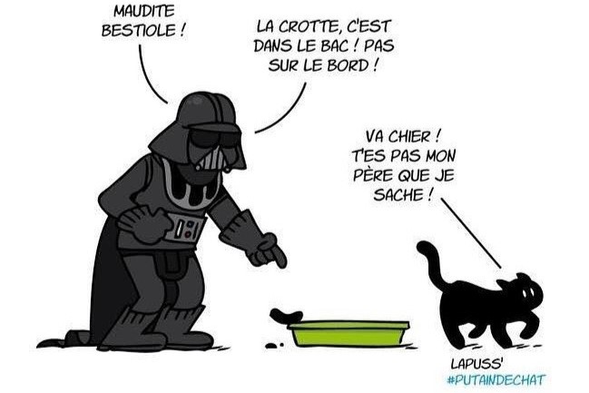 cohabitation chat et aménagement intérieur