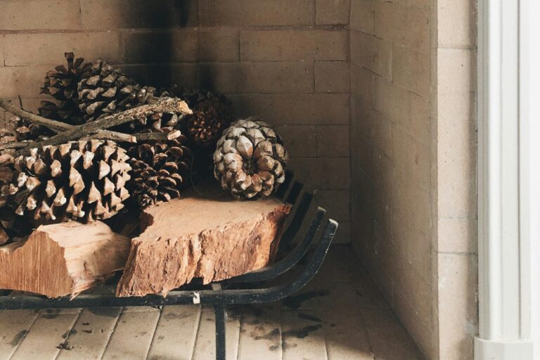 Lire la suite à propos de l’article Quand une panne de PAC rappelle ce que vaut une maison bien pensée